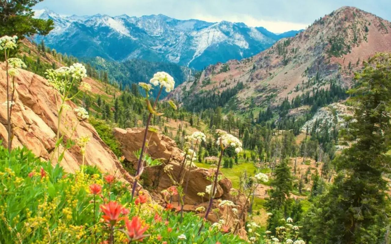 Hidden-Springs-In-California8217s-Trinity-Alps hidden-springs-in-californias-trinity-alps