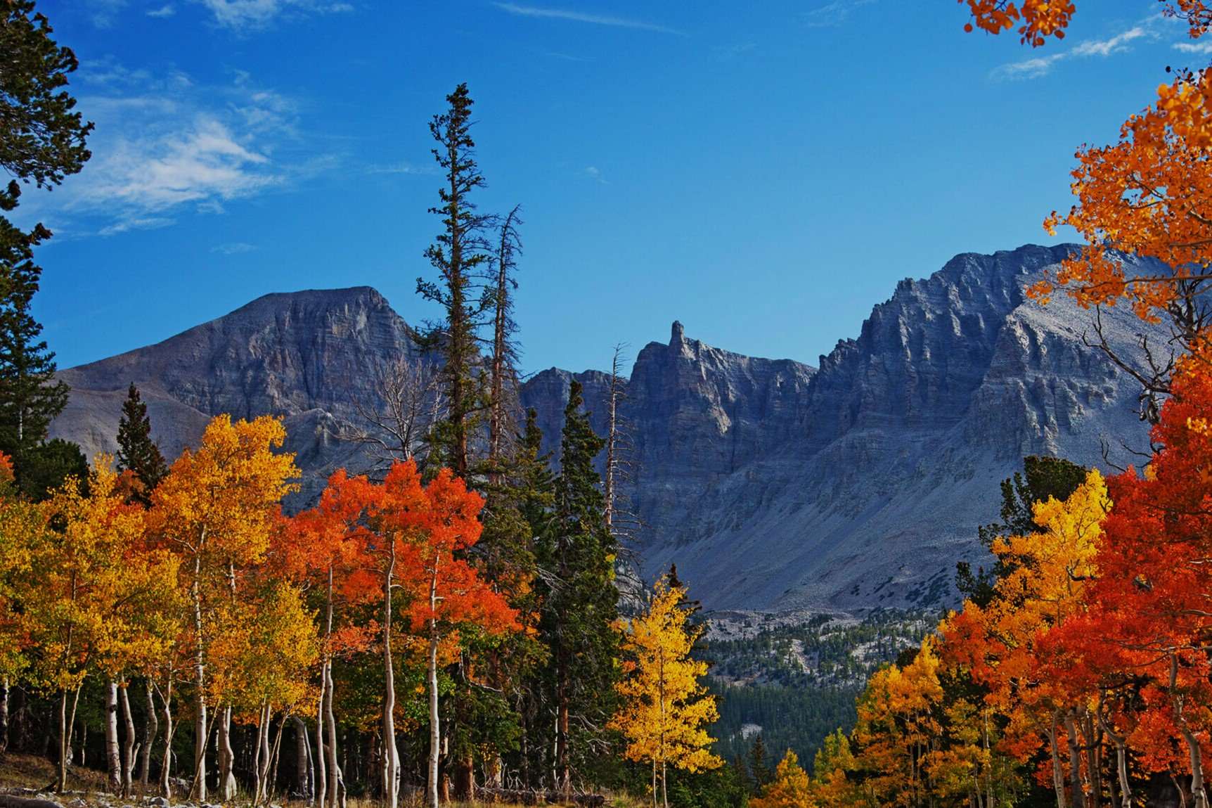 Hidden-Springs-In-Nevada8217s-Great-Basin hidden-springs-in-nevadas-great-basin