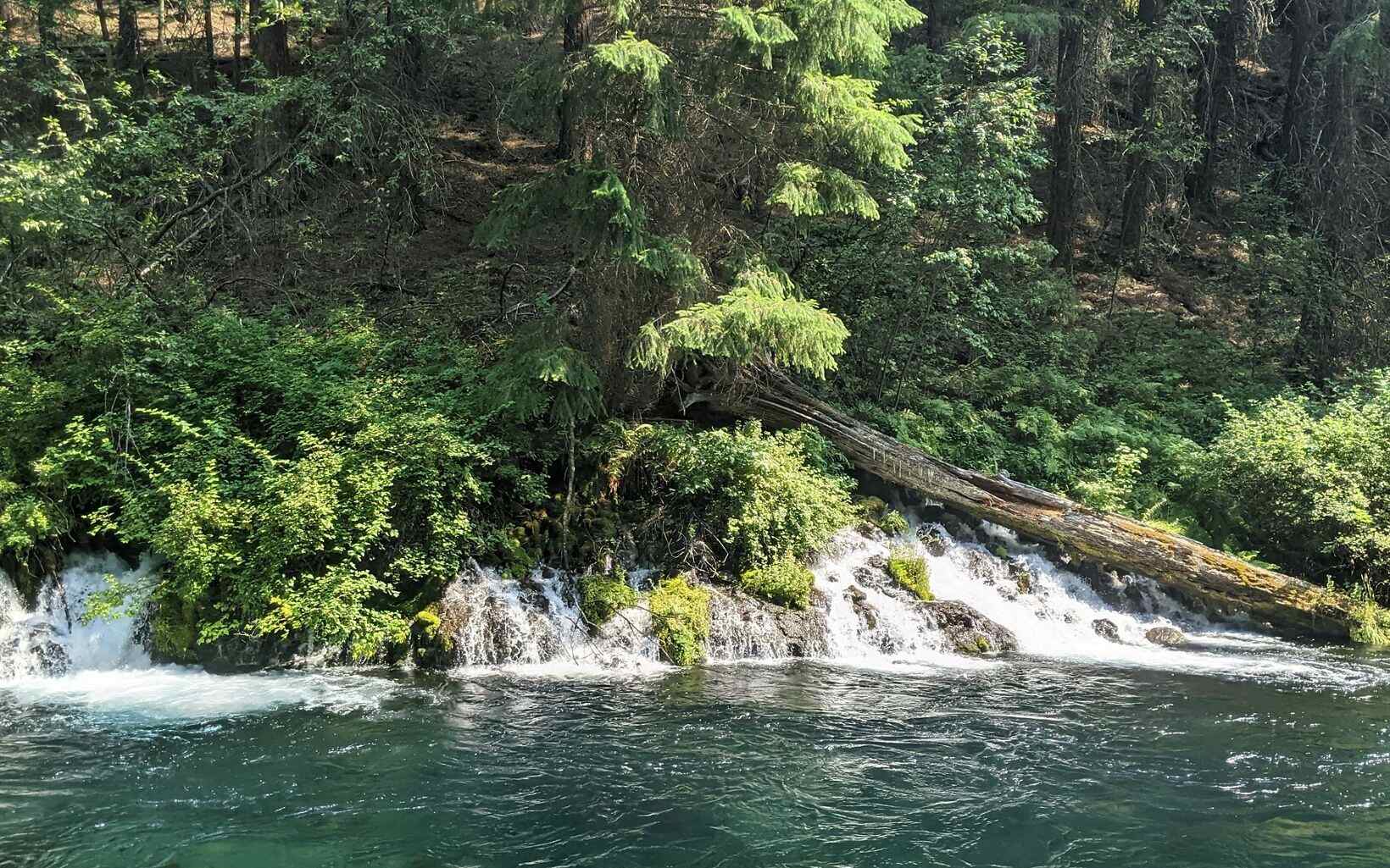 Hidden Springs Of Oregon's Broken Forest TouristSecrets