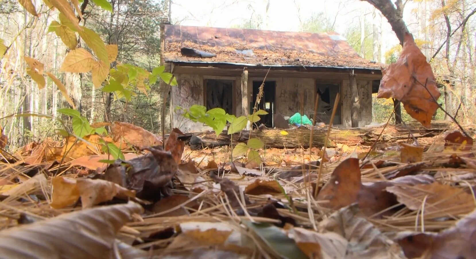 Hidden-Stories-Of-North-Carolina8217s-Lost-Cove hidden-stories-of-north-carolinas-lost-cove