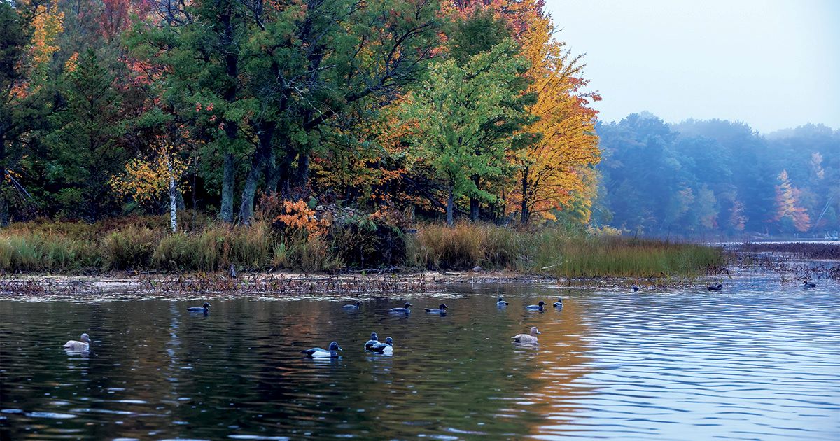 Hidden-Trading-Posts-Along-Tennessee8217s-Duck-River hidden-trading-posts-along-tennessees-duck-river