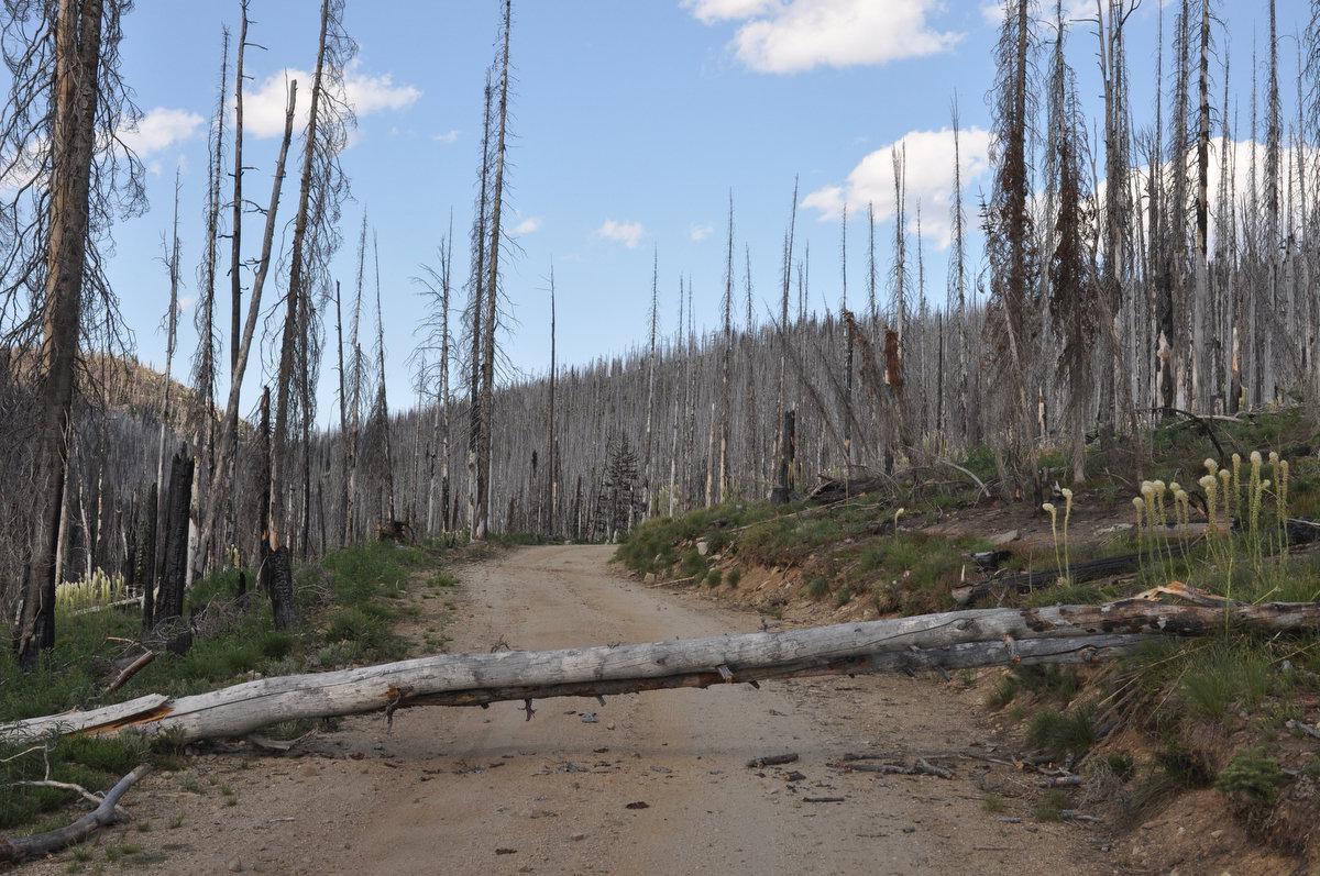 hidden-trading-posts-of-idahos-magruder