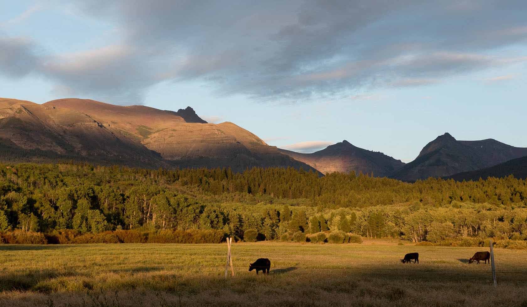 hidden-trading-posts-of-montanas-blackfoot