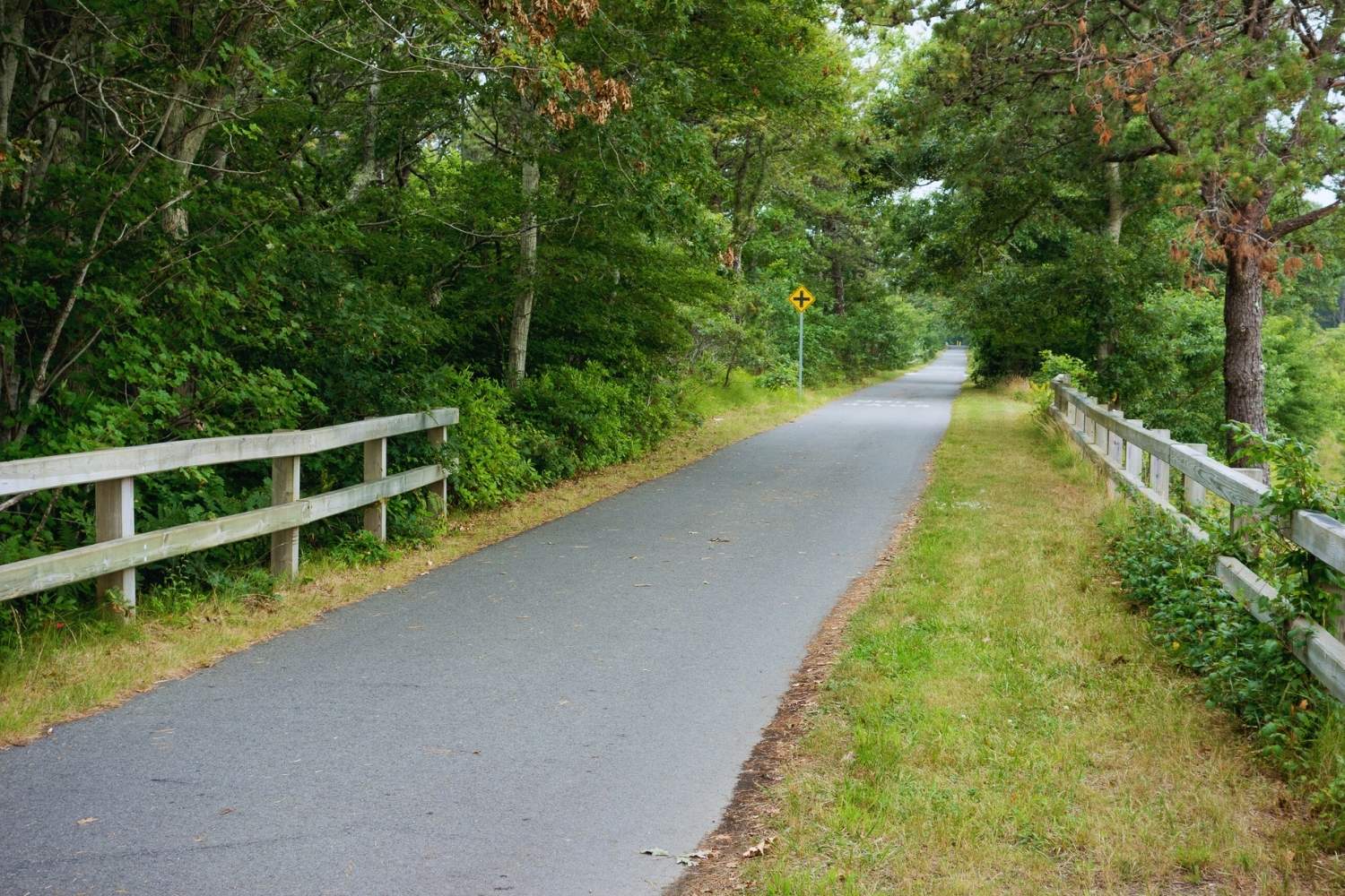 Hidden-Trails-Of-Cape-Cod-Massachusetts hidden-trails-of-cape-cod-massachusetts