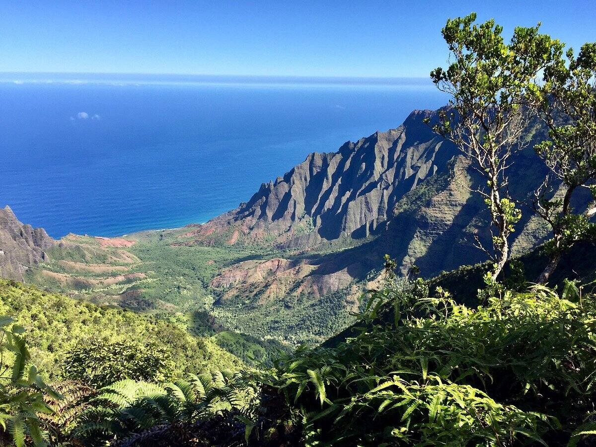 Hidden-Trails-Of-Hawaii8217s-Koke8217e hidden-trails-of-hawaiis-kokee