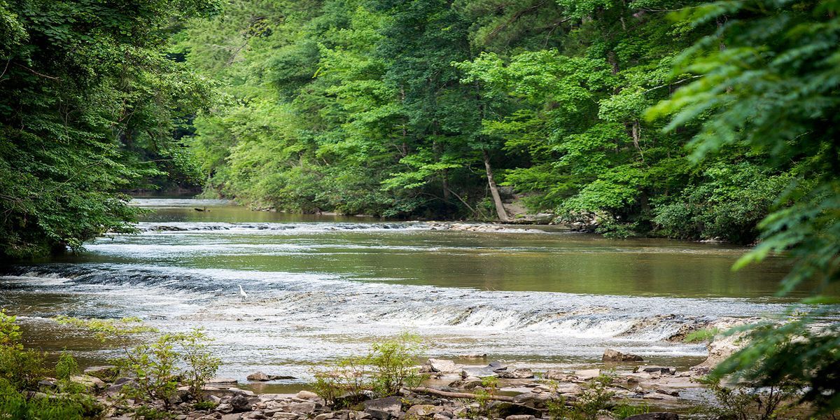 Hidden-Trails-Of-Louisiana8217s-Kisatchie hidden-trails-of-louisianas-kisatchie