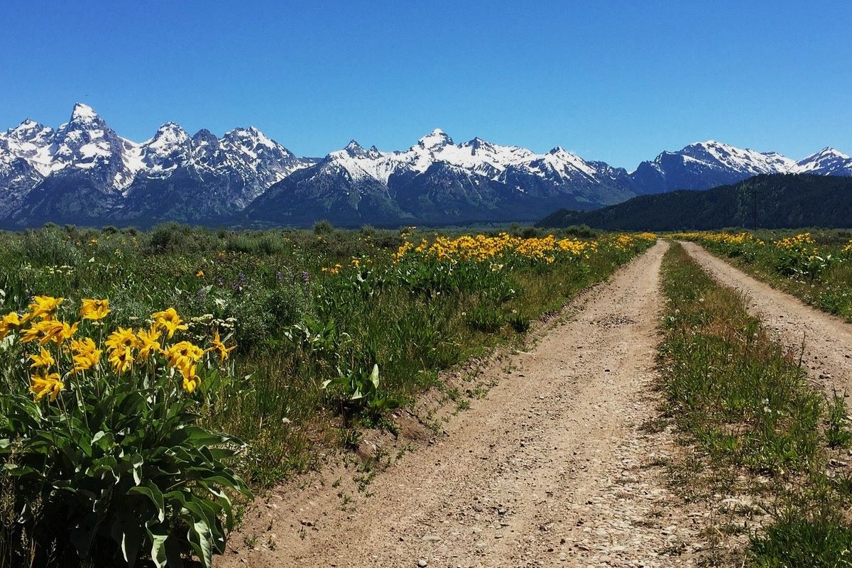 hidden-trails-of-wyomings-gros