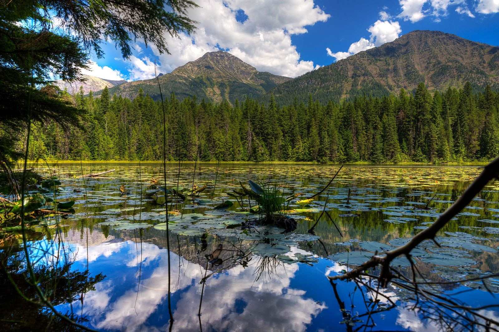 hidden-treasures-in-montanas-sweet-grass