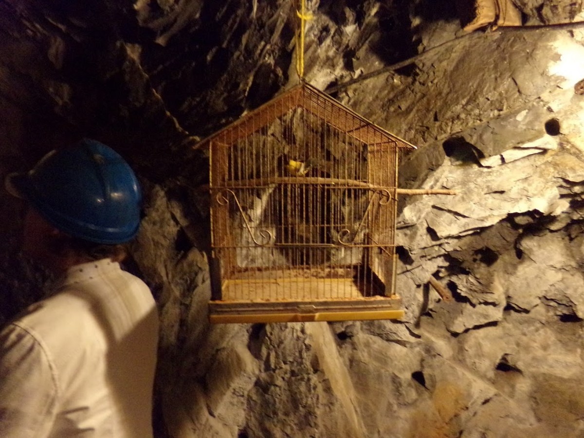 hidden-treasures-of-idahos-buffalo-mines