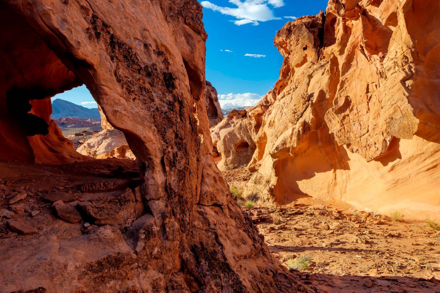 hidden-treasures-of-nevadas-gold-butte