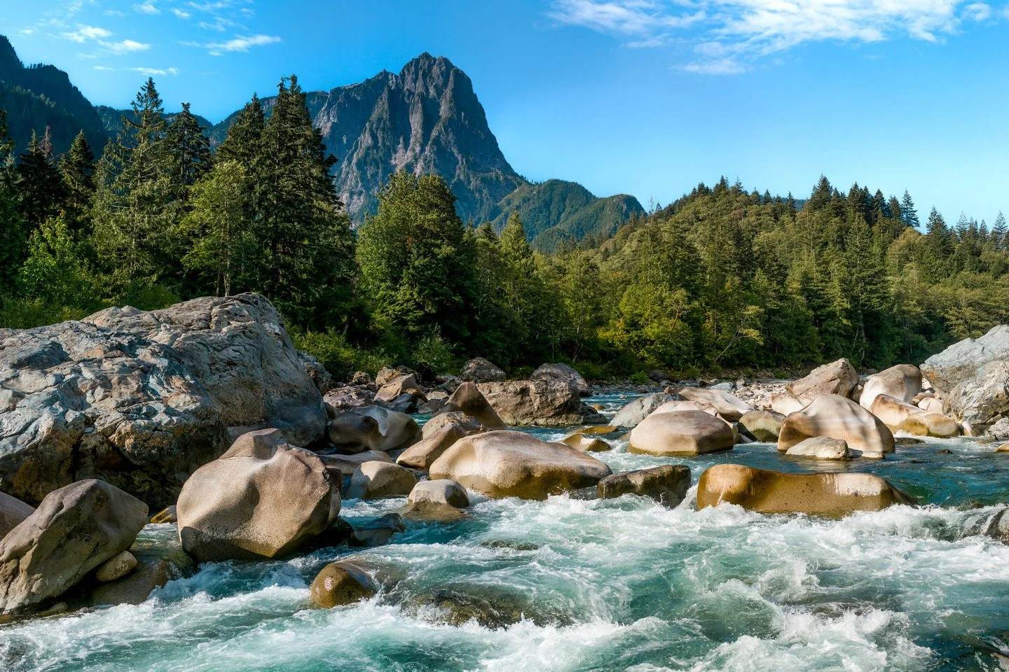 hidden-treasures-of-washingtons-index