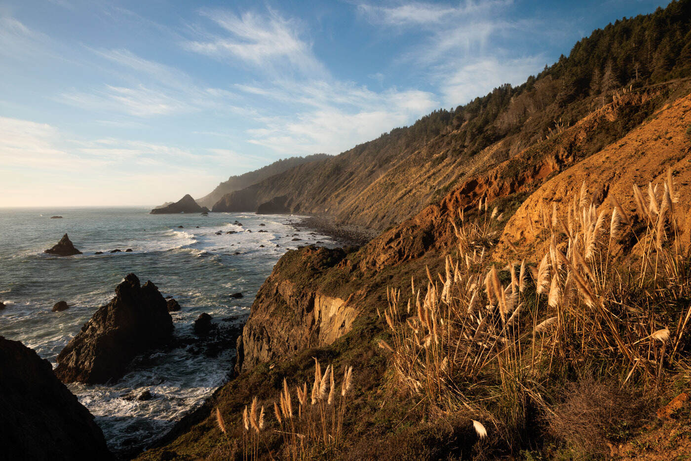 Hidden-Valleys-Of-California8217s-Redwood-Coast hidden-valleys-of-californias-redwood-coast