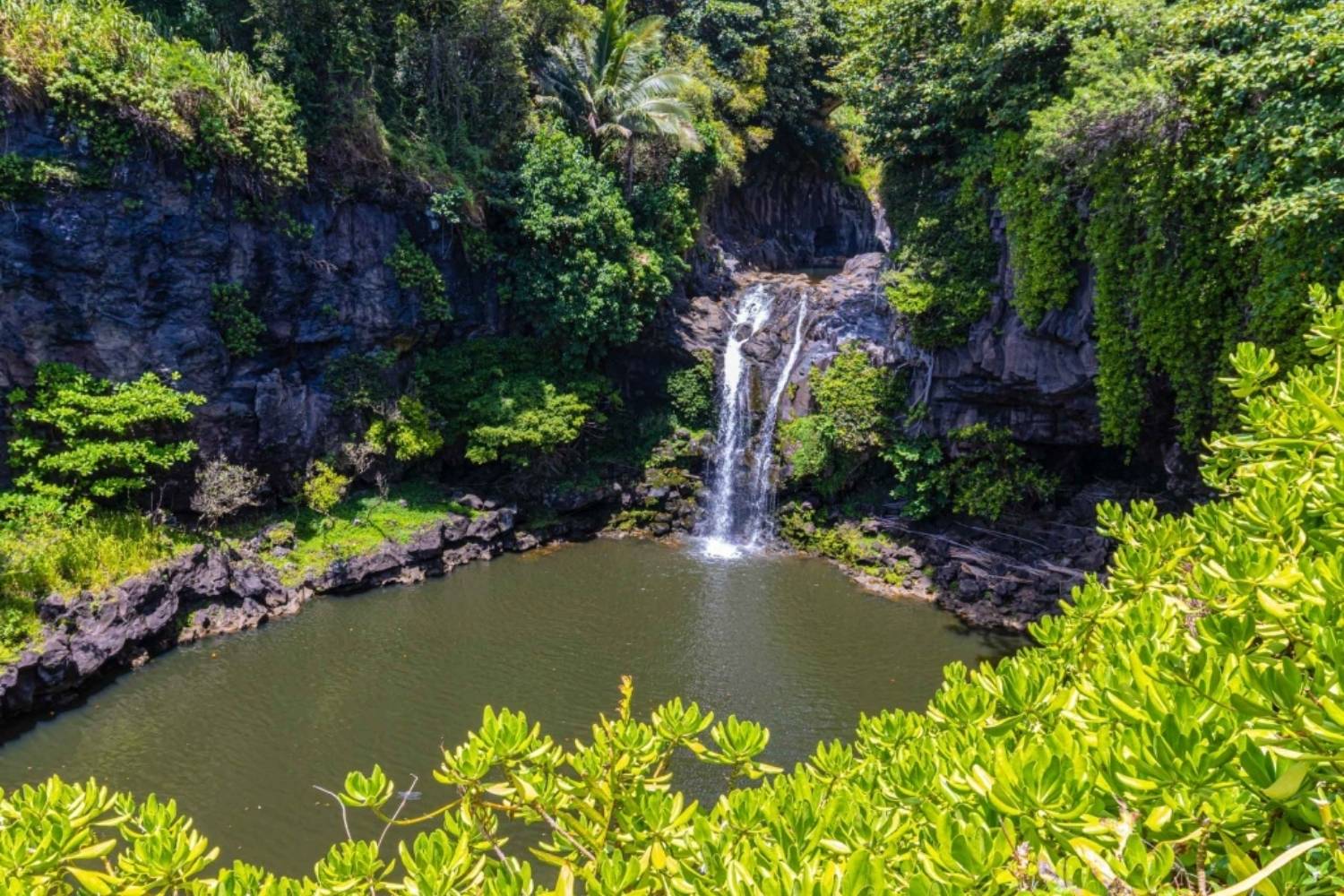 Hidden-Valleys-Of-Hawaii8217s-Kipahulu-Valley hidden-valleys-of-hawaiis-kipahulu-valley
