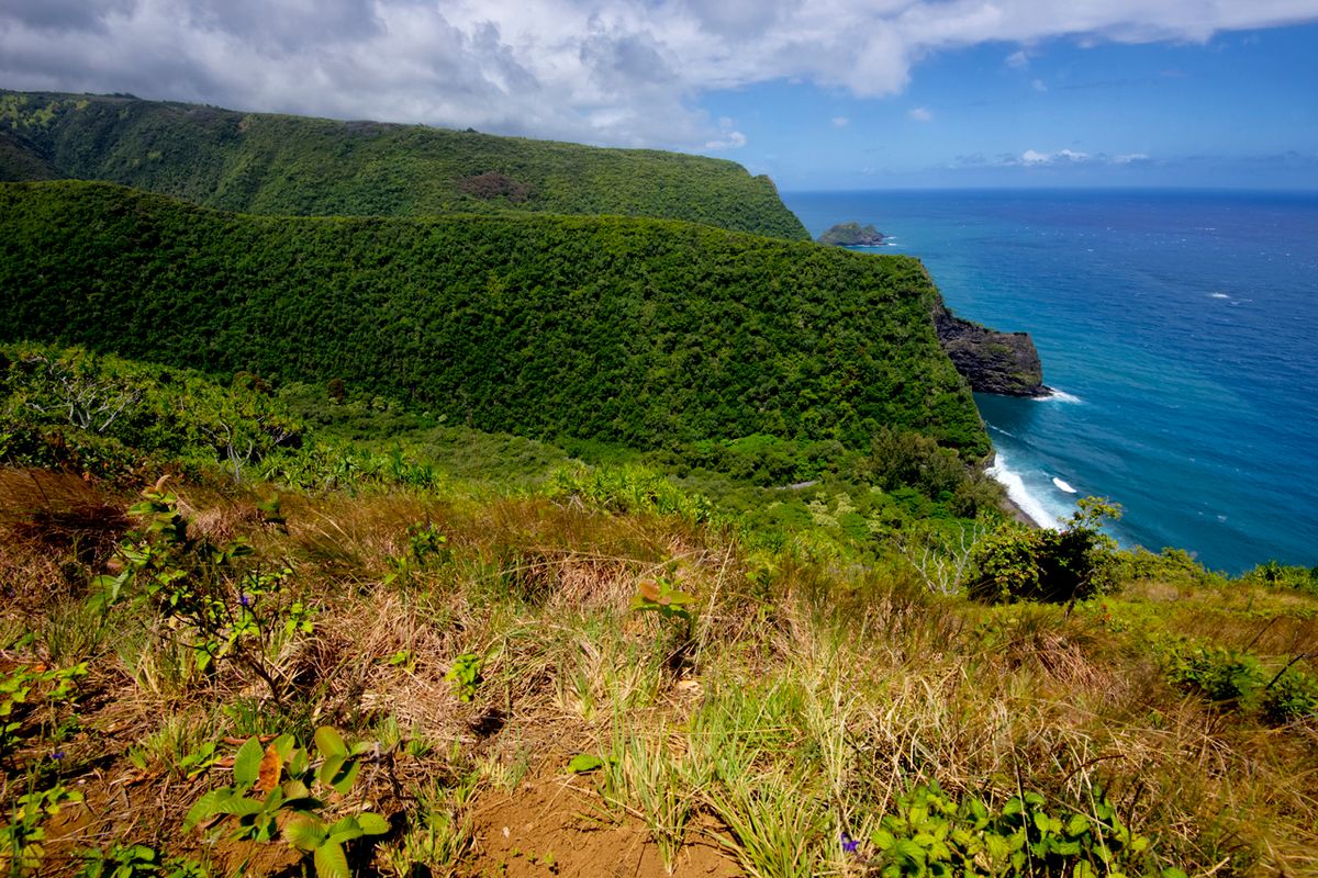 Hidden-Valleys-Of-Hawaii8217s-Pololu-Valley hidden-valleys-of-hawaiis-pololu-valley