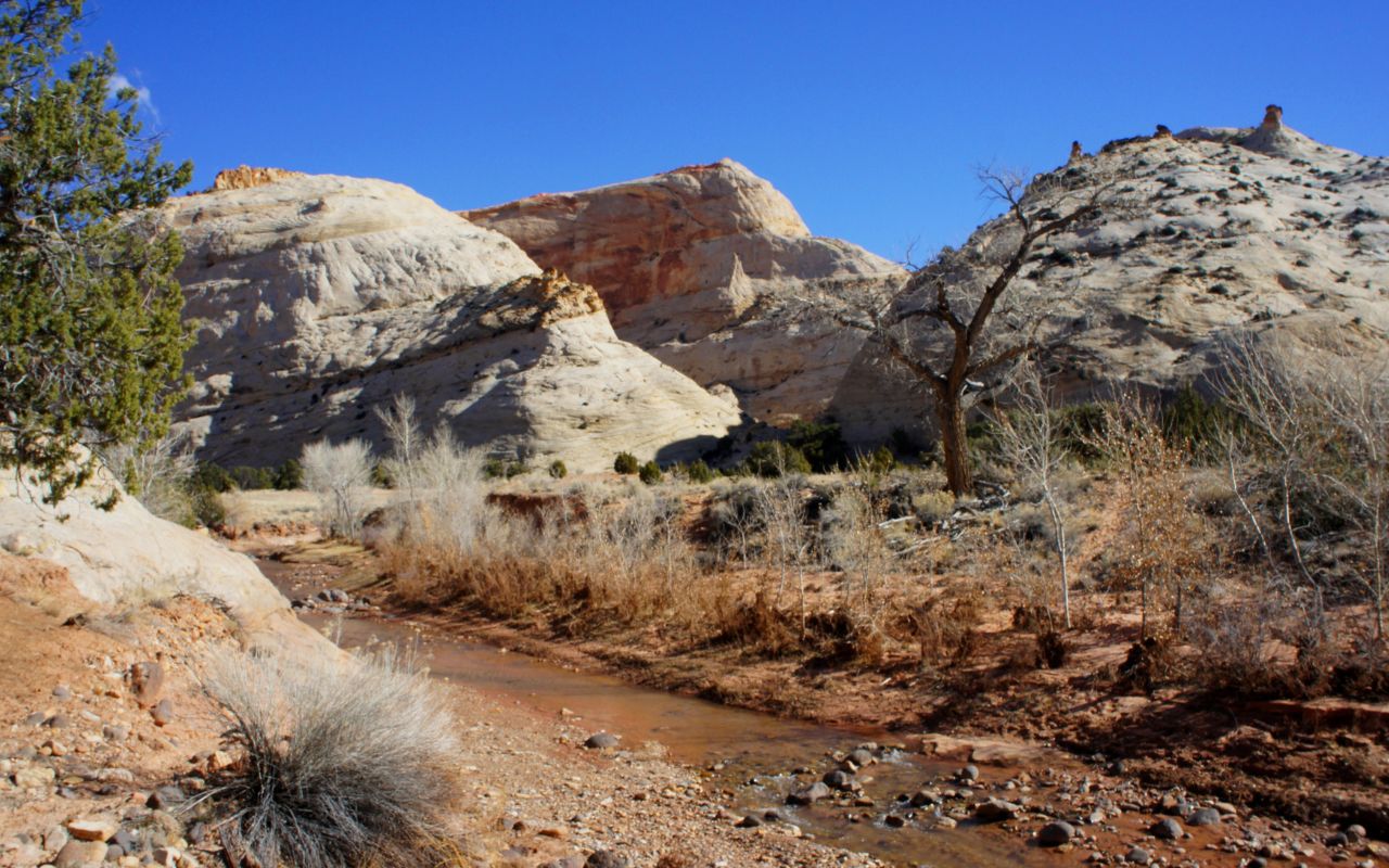 hidden-valleys-of-utahs-pleasant-creek