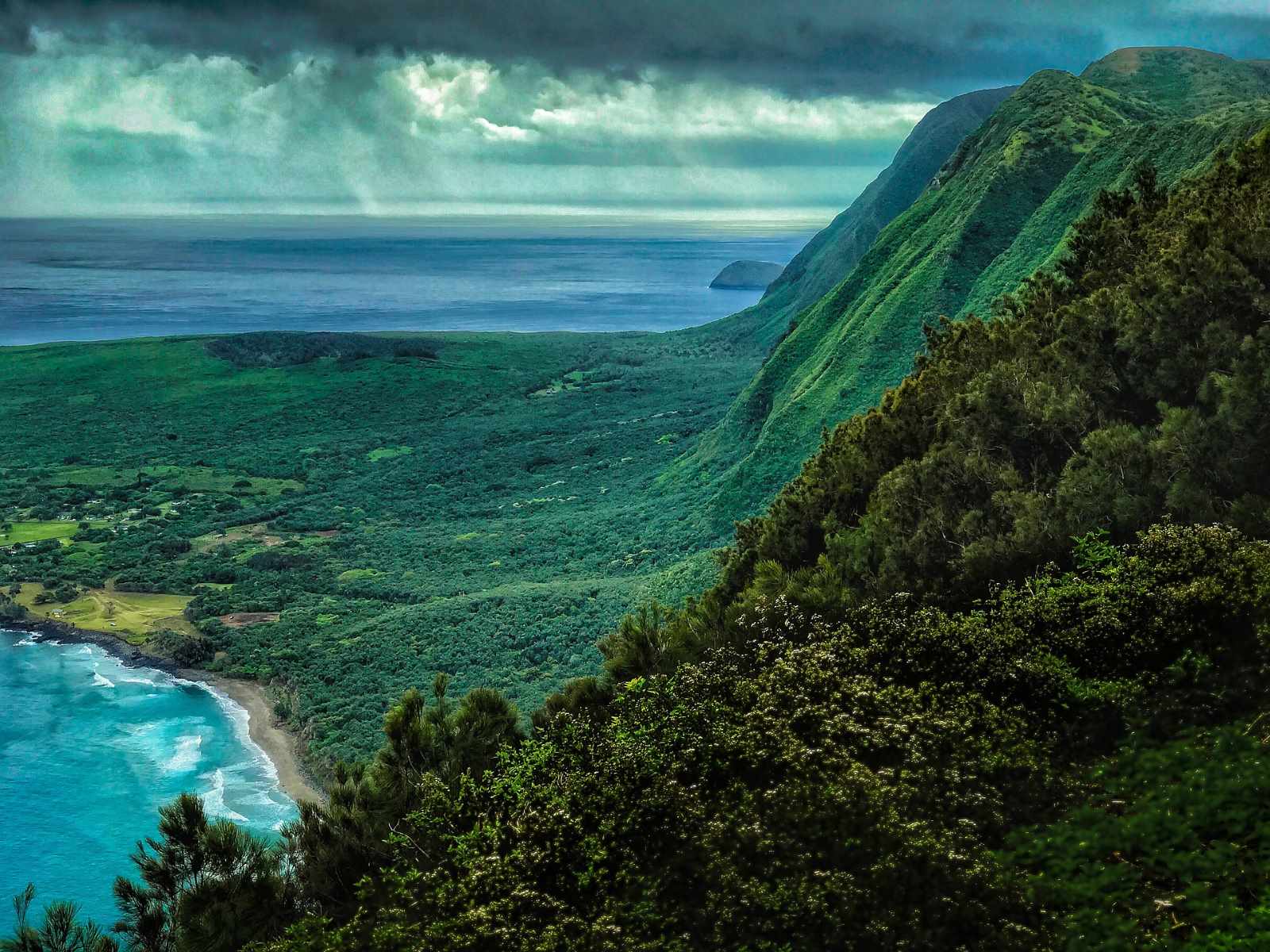 hidden-villages-of-hawaiis-molokai-forest