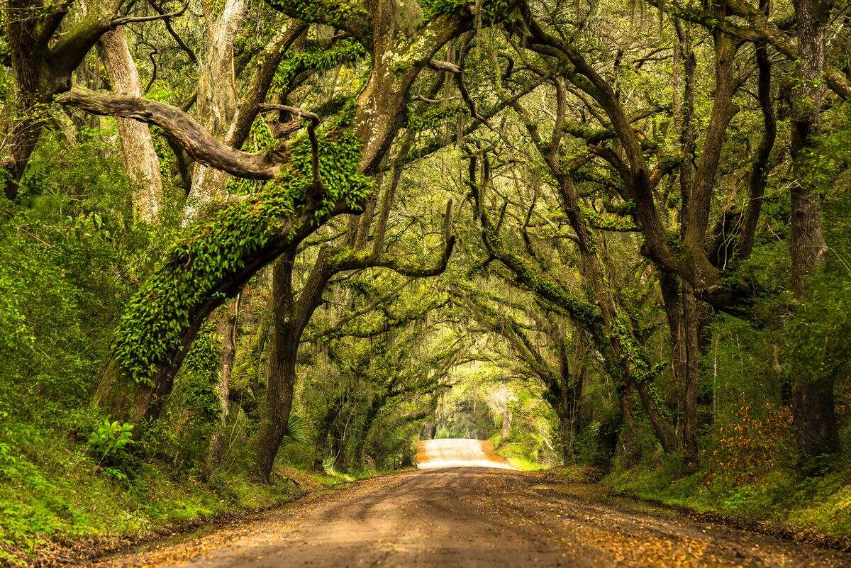 Hidden-Villages-Of-South-Carolina8217s-Botany-Bay hidden-villages-of-south-carolinas-botany-bay