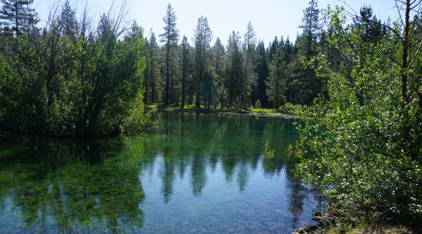 hidden-waters-of-californias-lost-creek