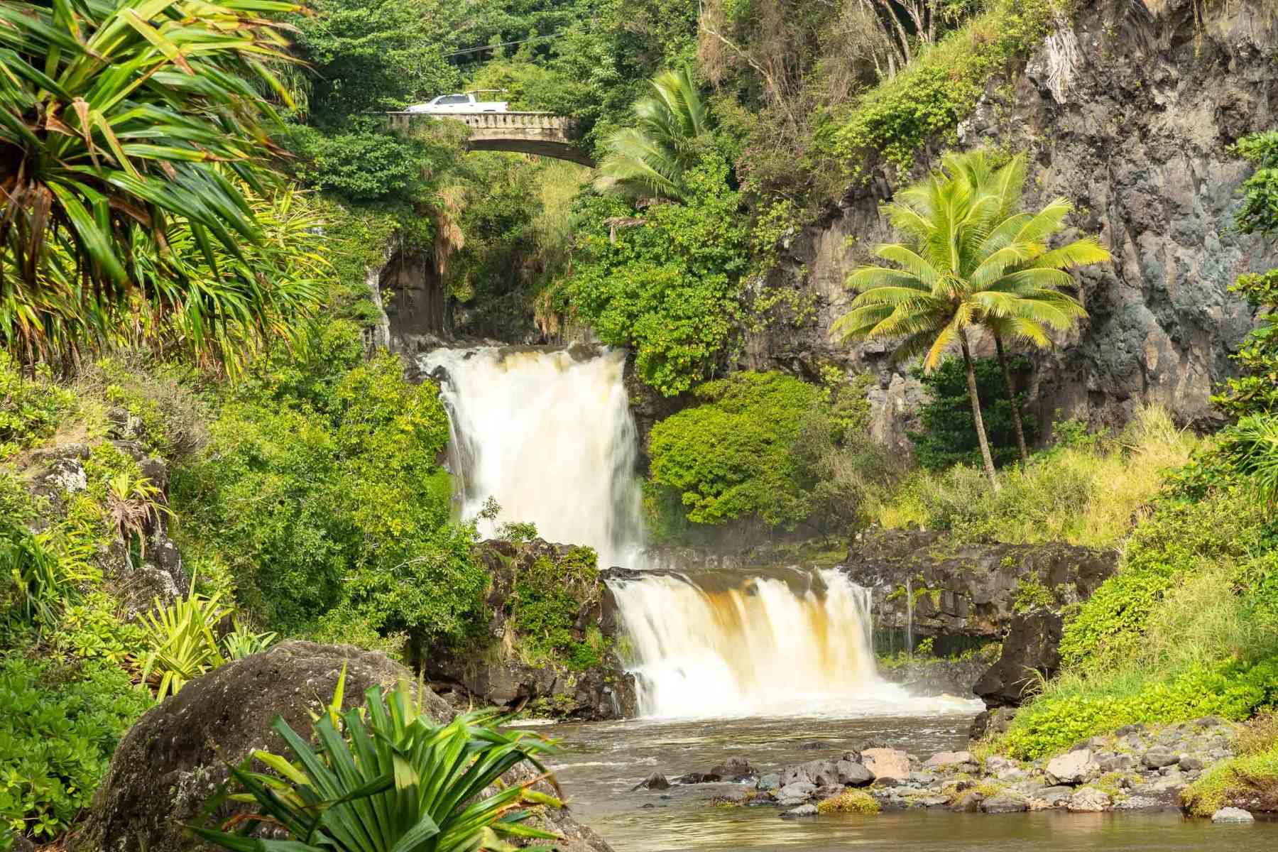 Hidden-Waters-Of-Hawaii8217s-Kipahulu hidden-waters-of-hawaiis-kipahulu