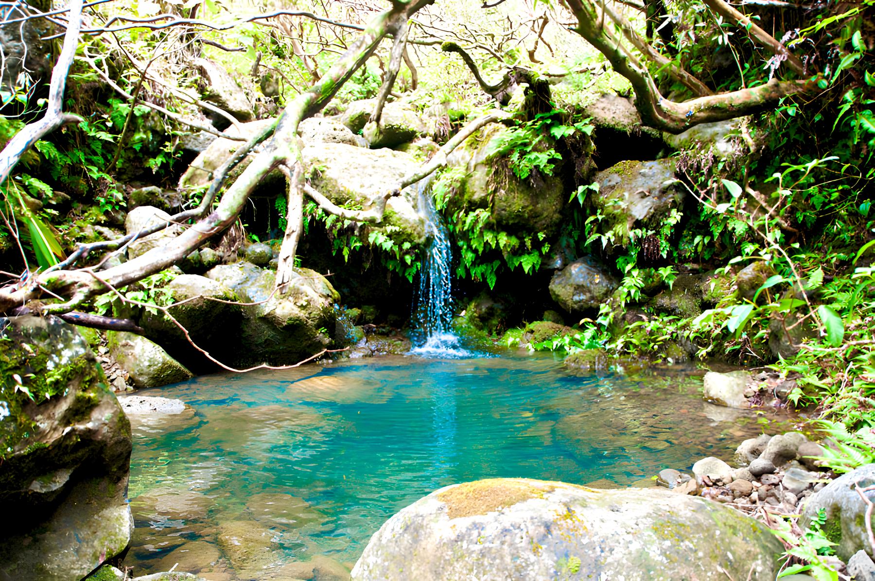 hidden-waters-of-hawaiis-moanalua