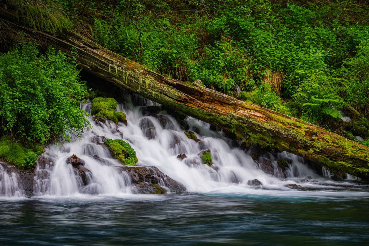 hidden-waters-of-oregons-metolius