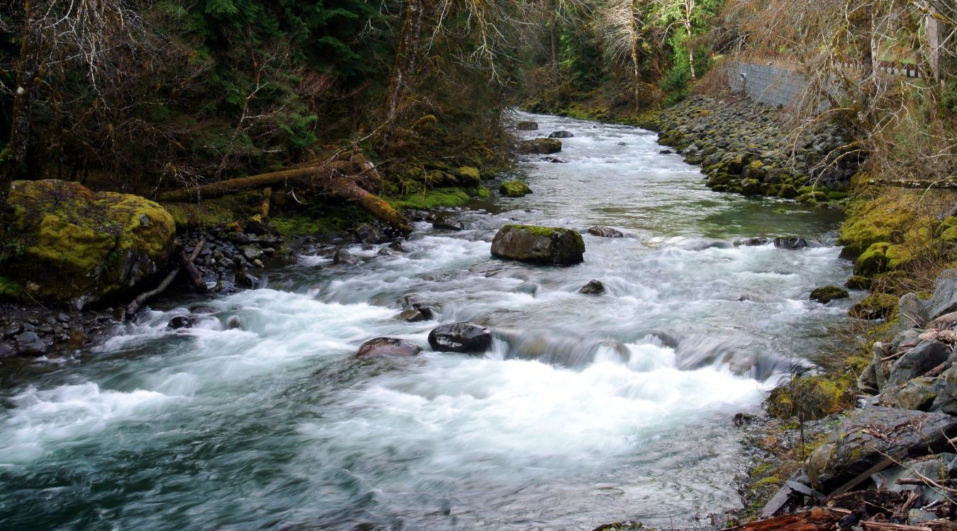 Hidden-Waters-Of-Washington8217s-Sol-Duc hidden-waters-of-washingtons-sol-duc