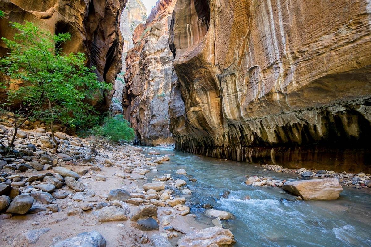 Hidden-Waters-Of-Zion-Narrows hidden-waters-of-zion-narrows
