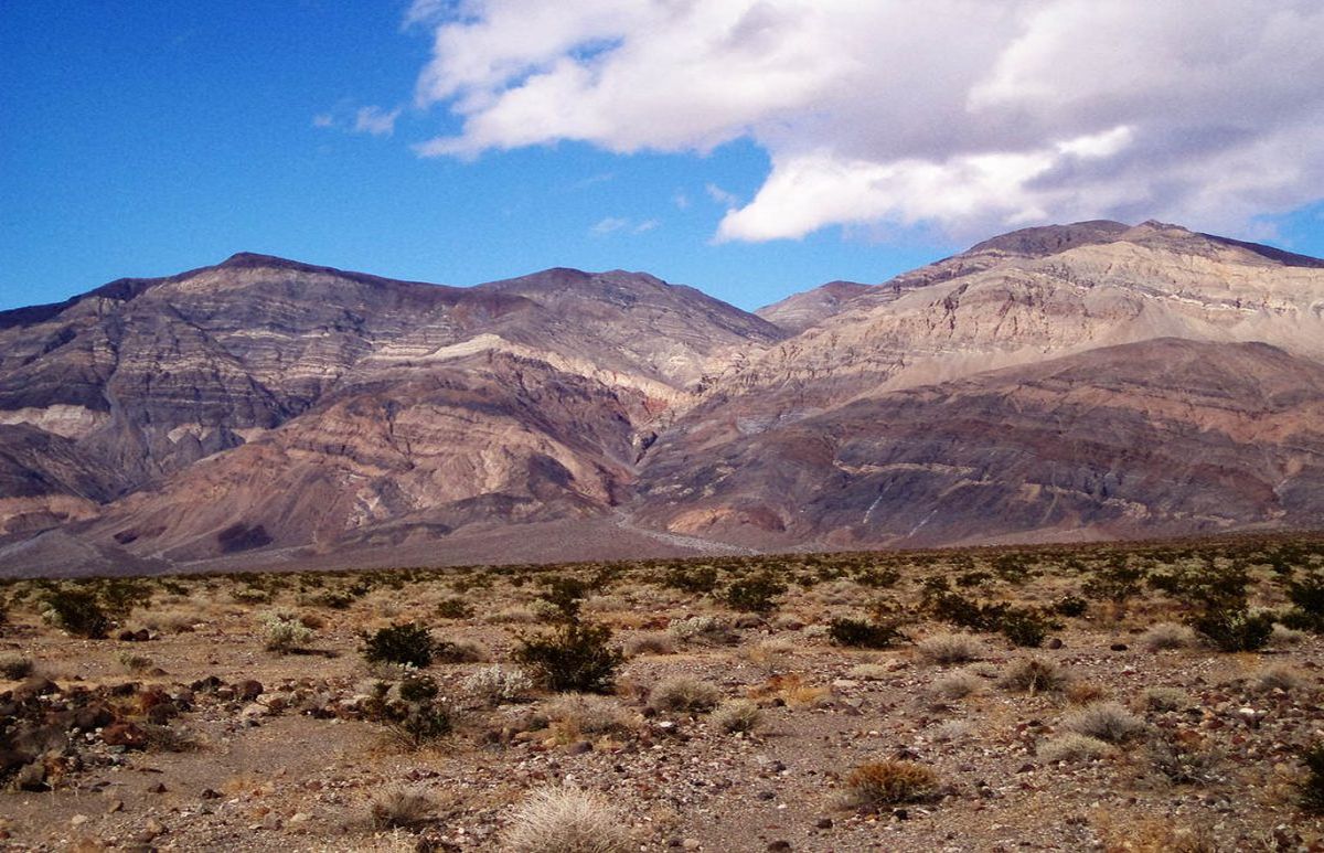 hidden-wonders-of-californias-panamint-oases