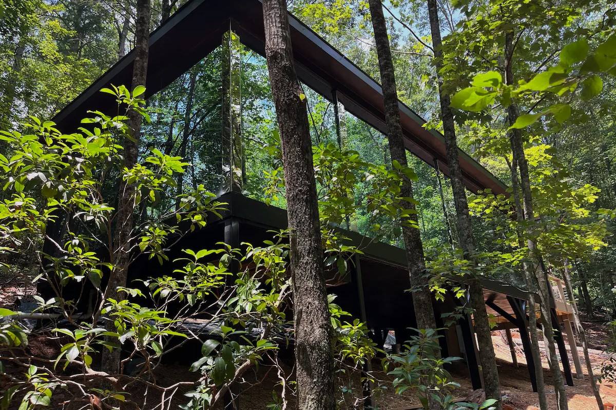 hidden-wonders-of-dahlonegas-forests