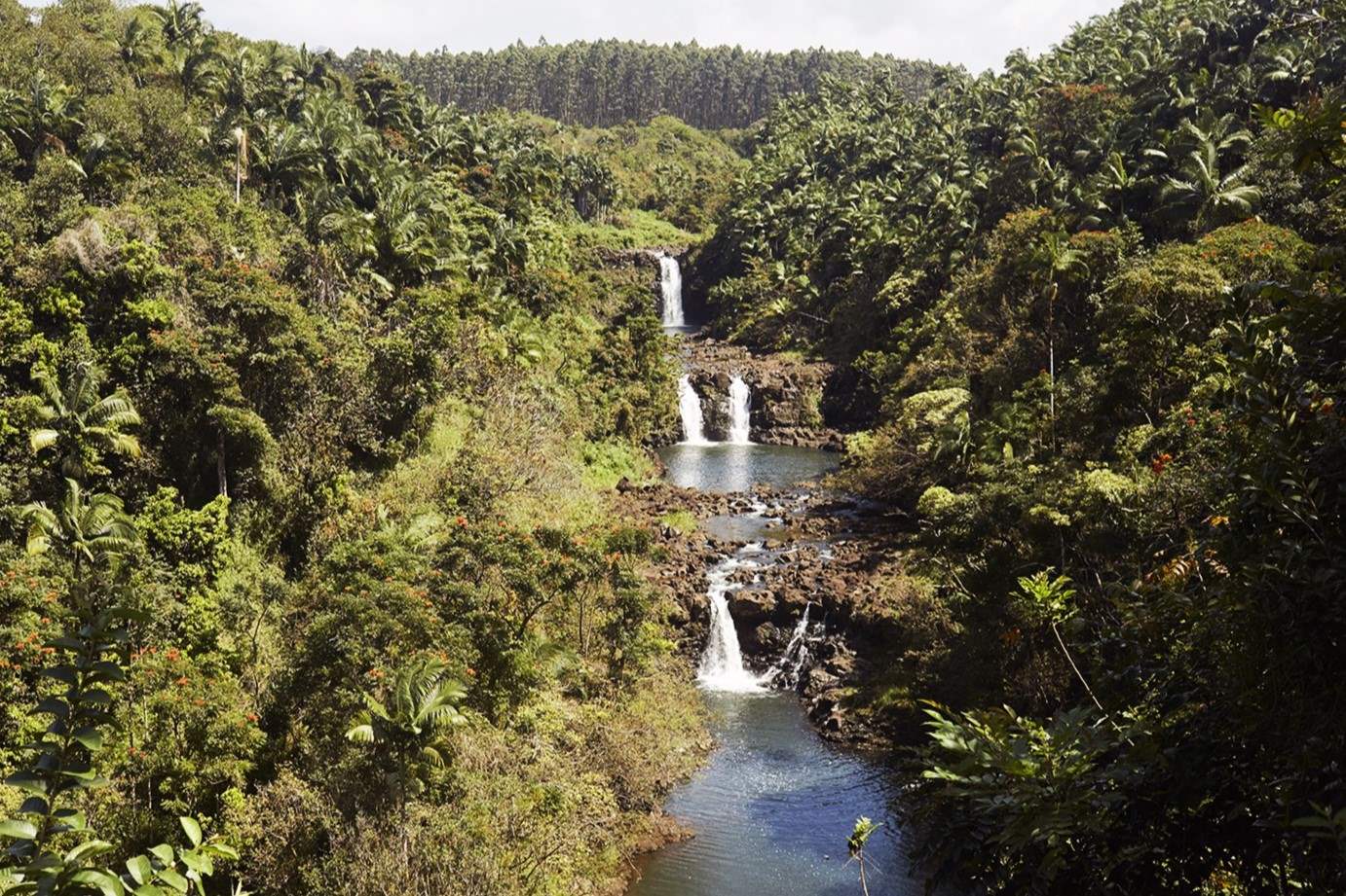 hidden-wonders-of-hawaiis-hamakua-falls