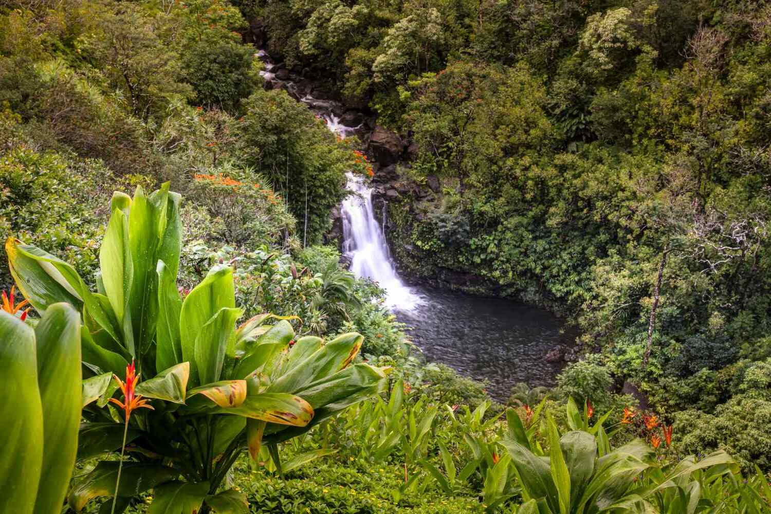 hidden-wonders-of-hawaiis-makamakaole-pools