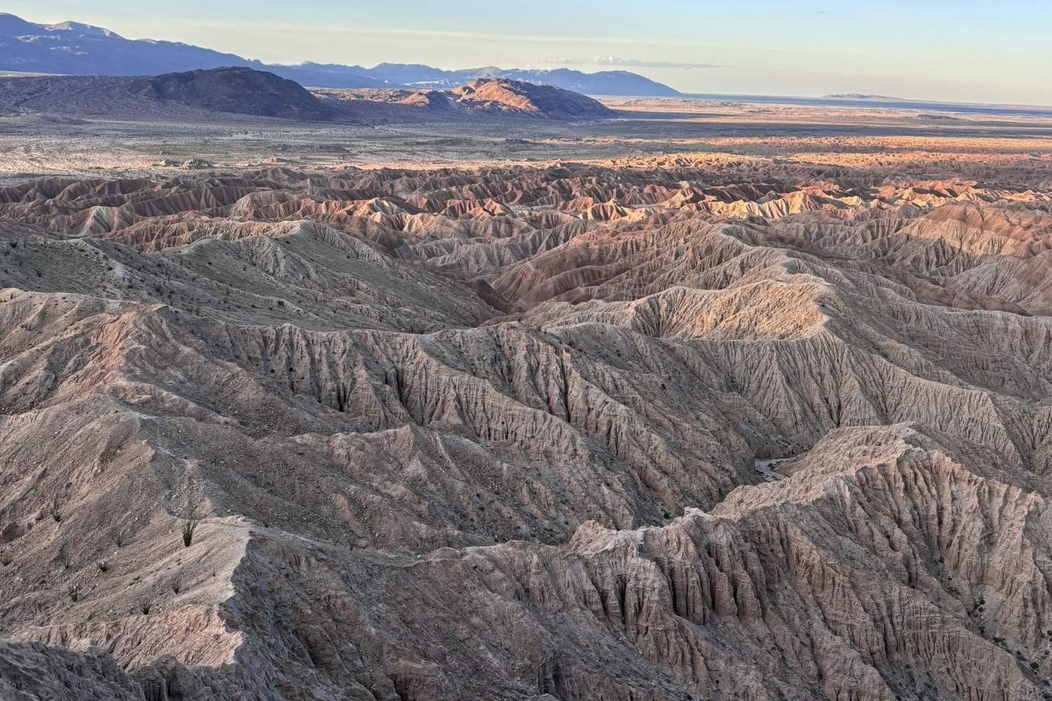 journey-through-borrego-springs-californias-desert-paths