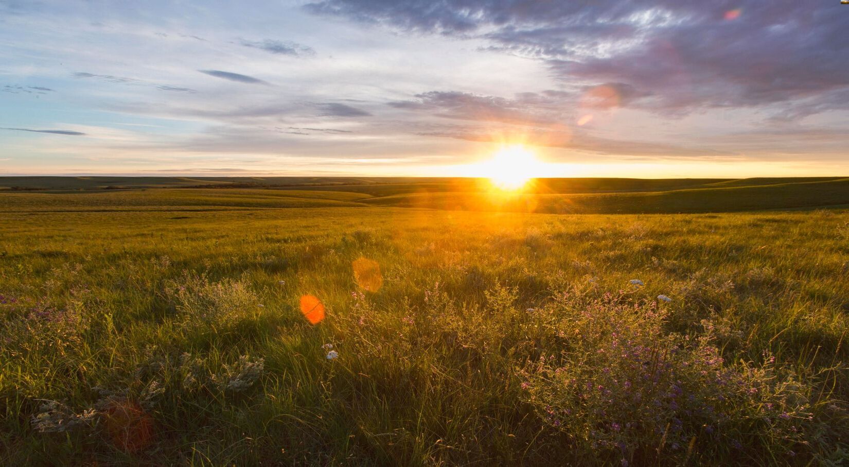 kansas-last-tallgrass-prairie-remnant
