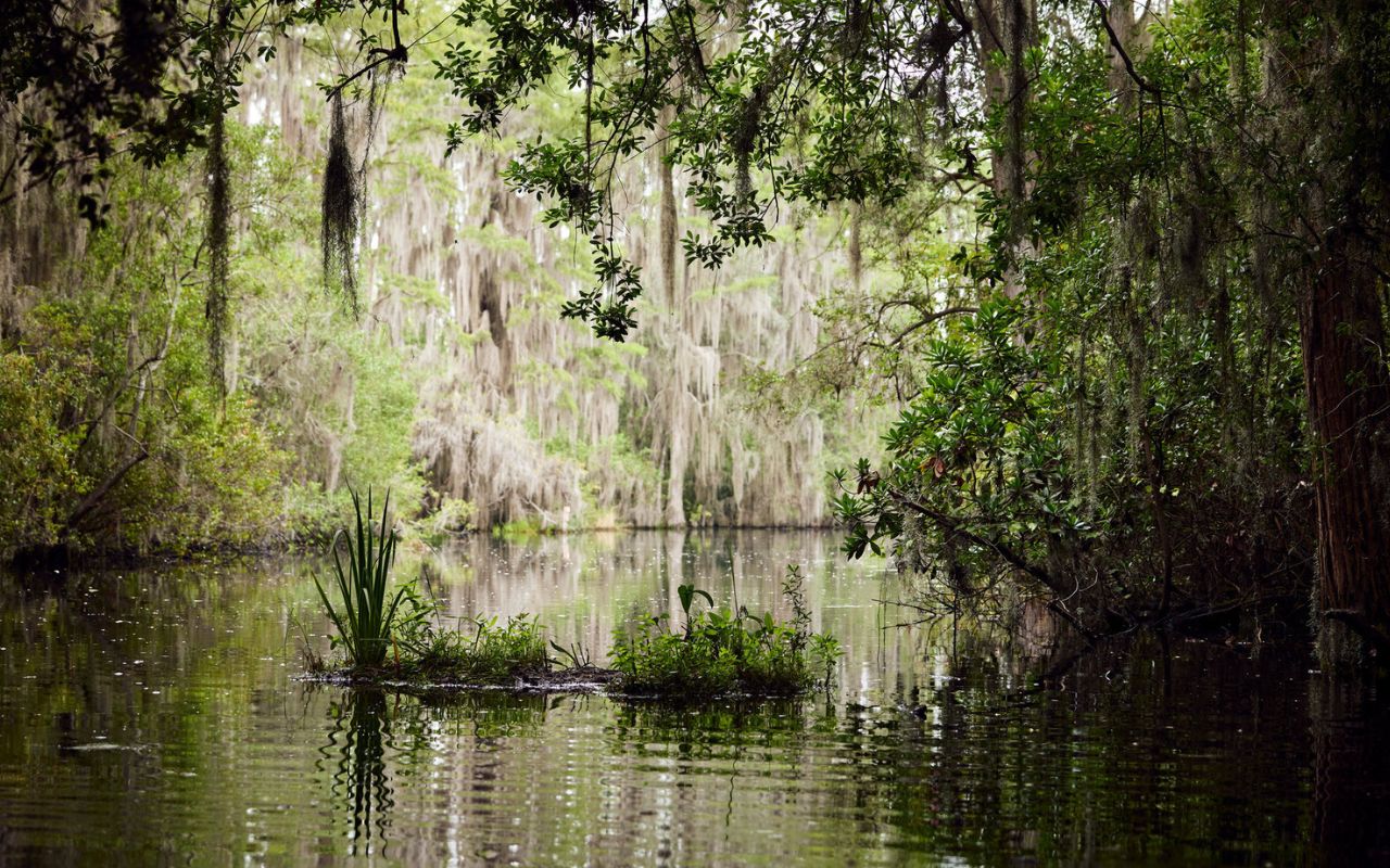 lost-battle-sites-of-georgias-okefenokee