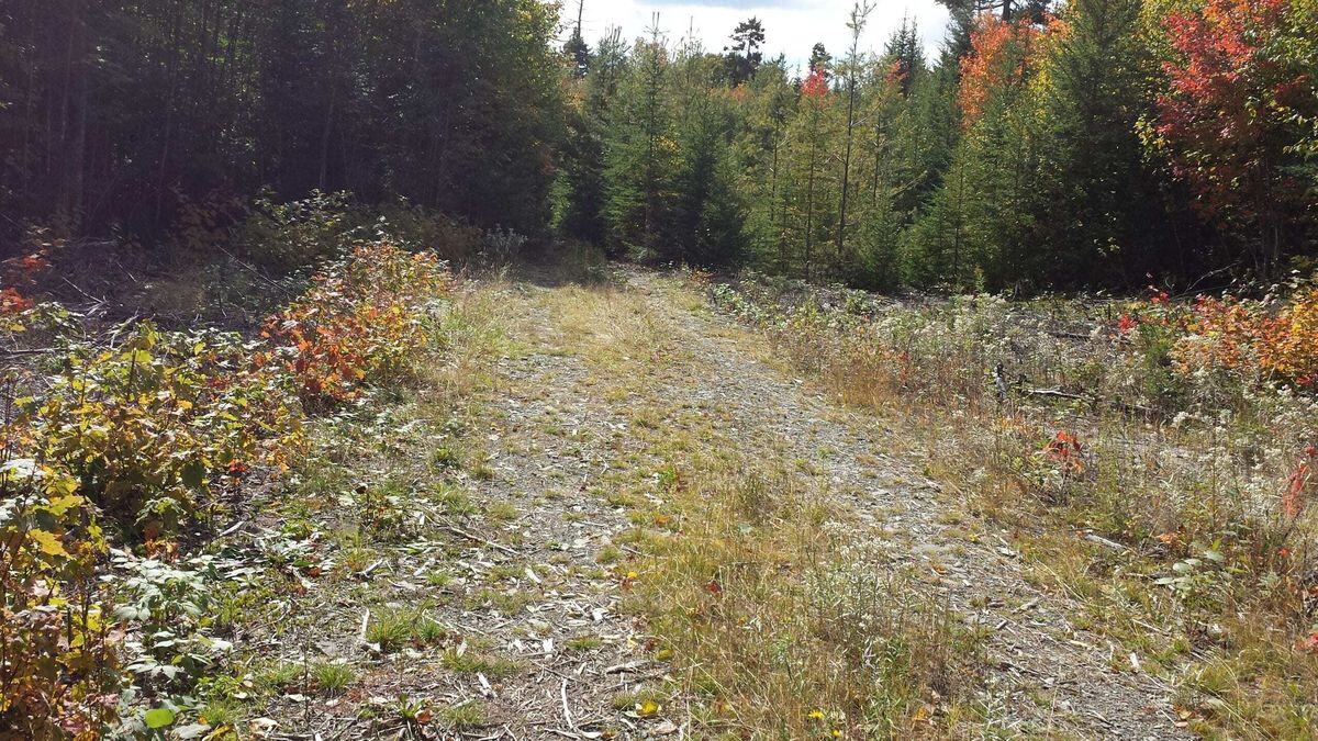Lost-Logging-Camps-Of-Maine8217s-West-Branch lost-logging-camps-of-maines-west-branch