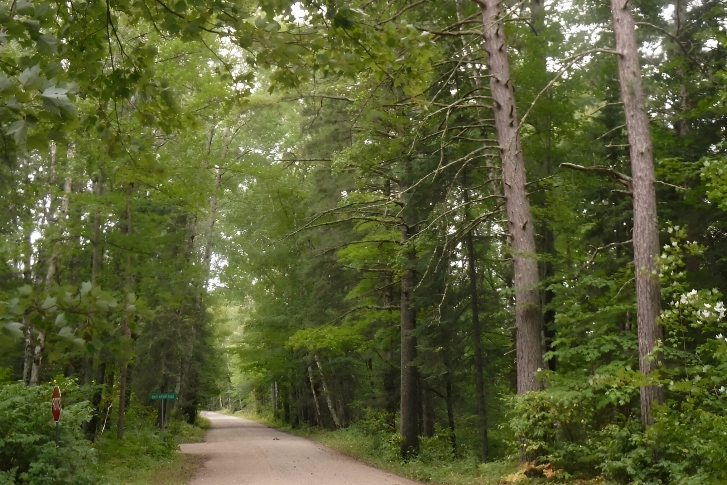 Lost-Logging-Camps-Of-Minnesota8217s-Chippewa lost-logging-camps-of-minnesotas-chippewa