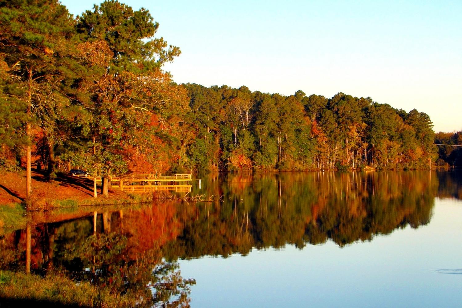 lost-logging-camps-of-minnesotas-north-woods