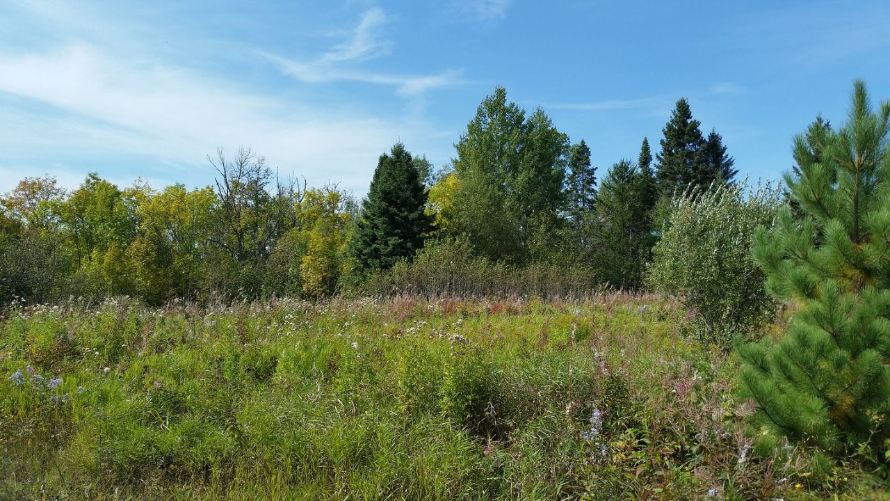 lost-logging-camps-of-minnesotas-st-croix
