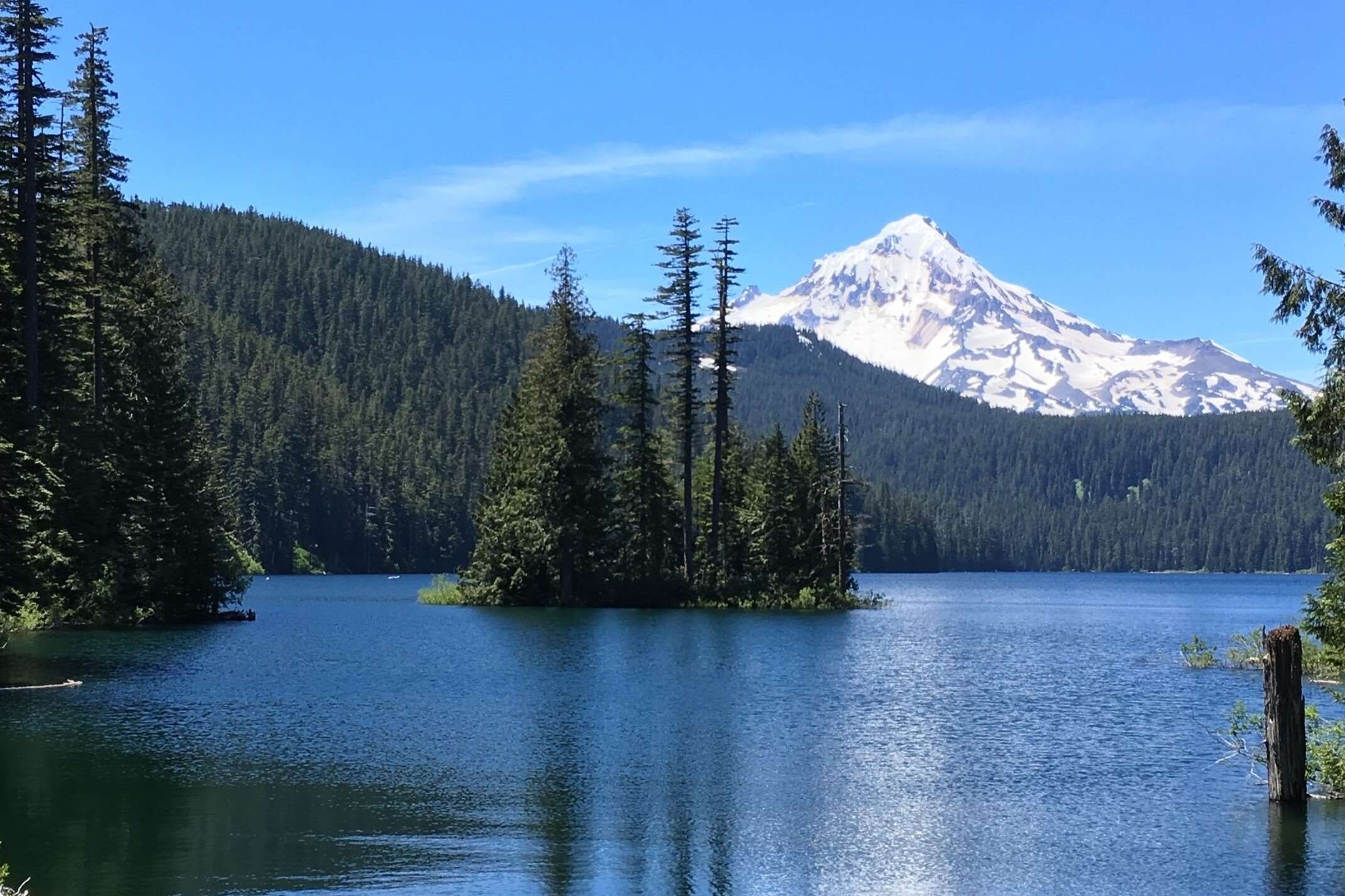 Lost-Logging-Camps-Of-Oregon8217s-Bull-Run lost-logging-camps-of-oregons-bull-run