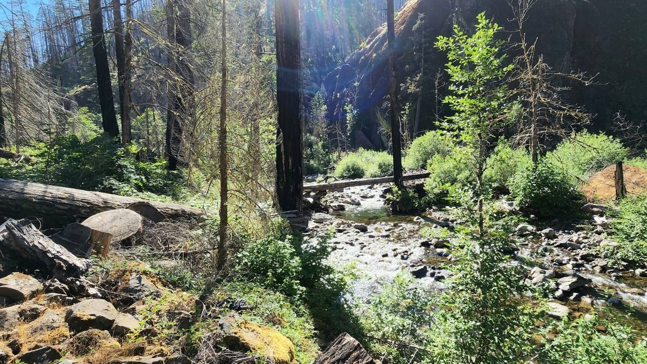 lost-logging-camps-of-oregons-eagle-creek