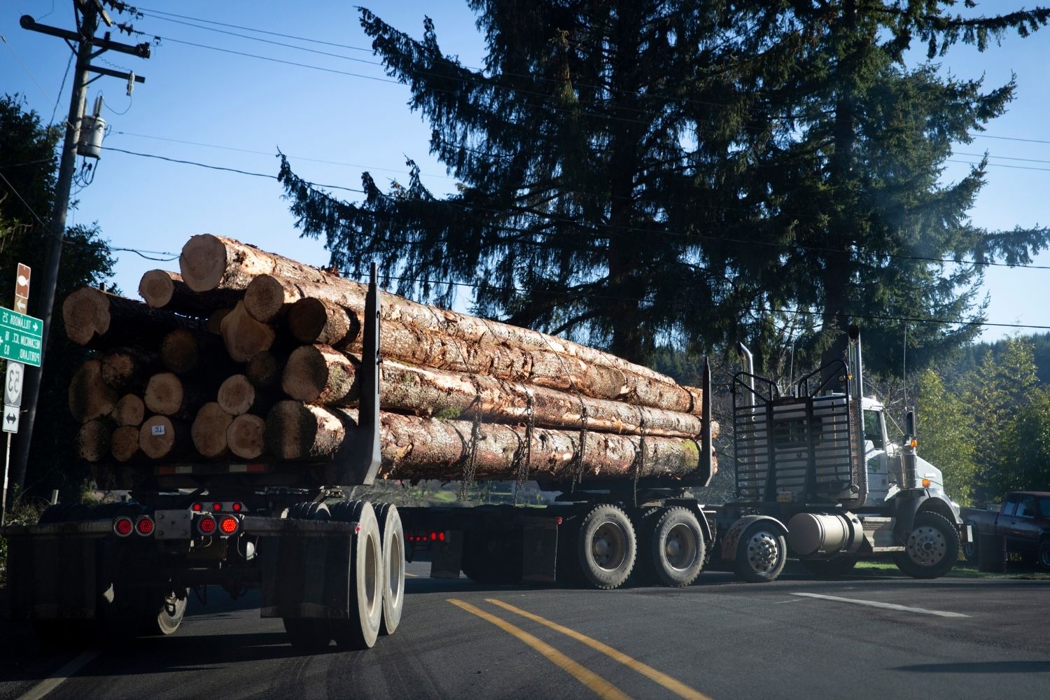 lost-logging-camps-of-oregons-elliott