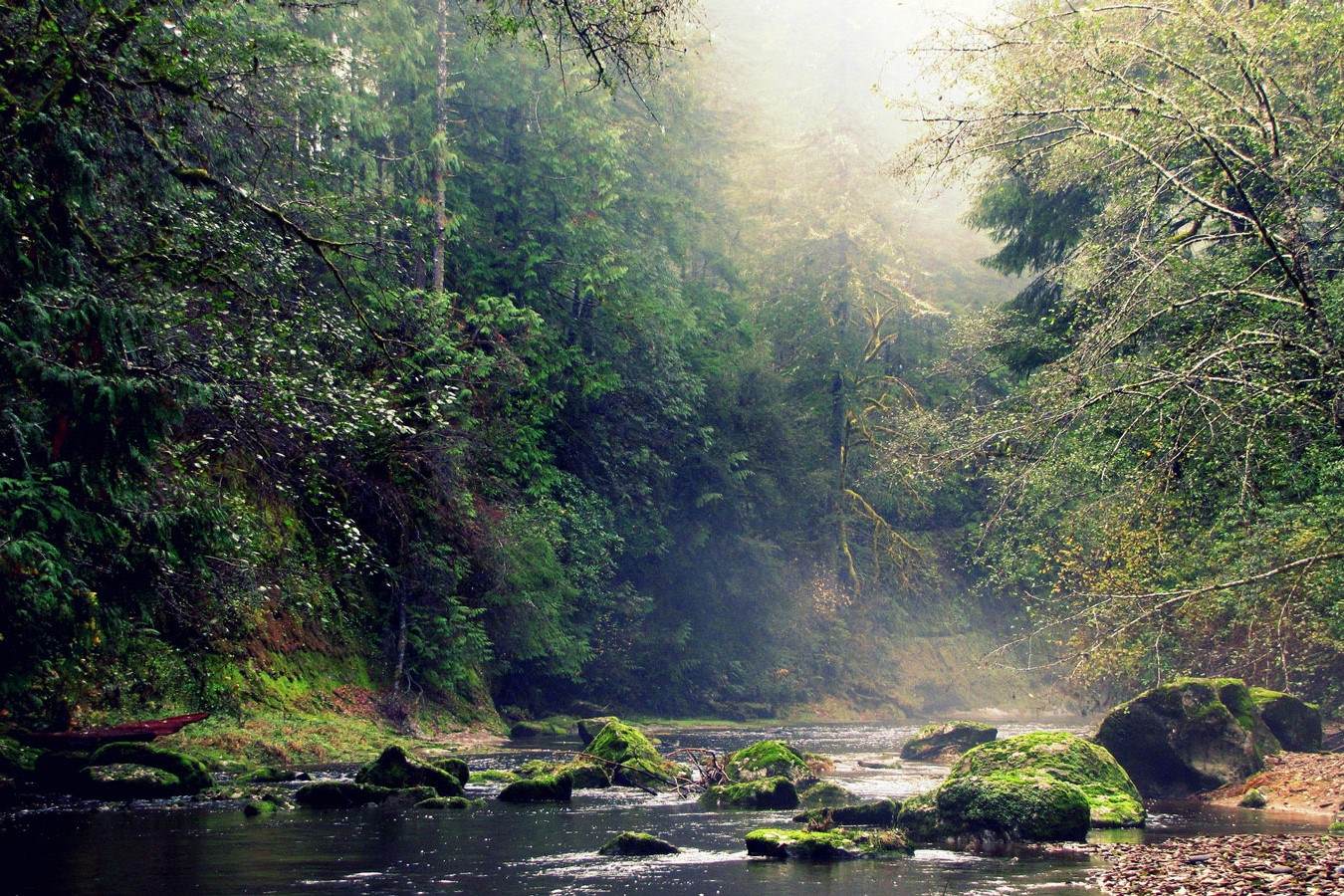 lost-logging-camps-of-oregons-millicoma