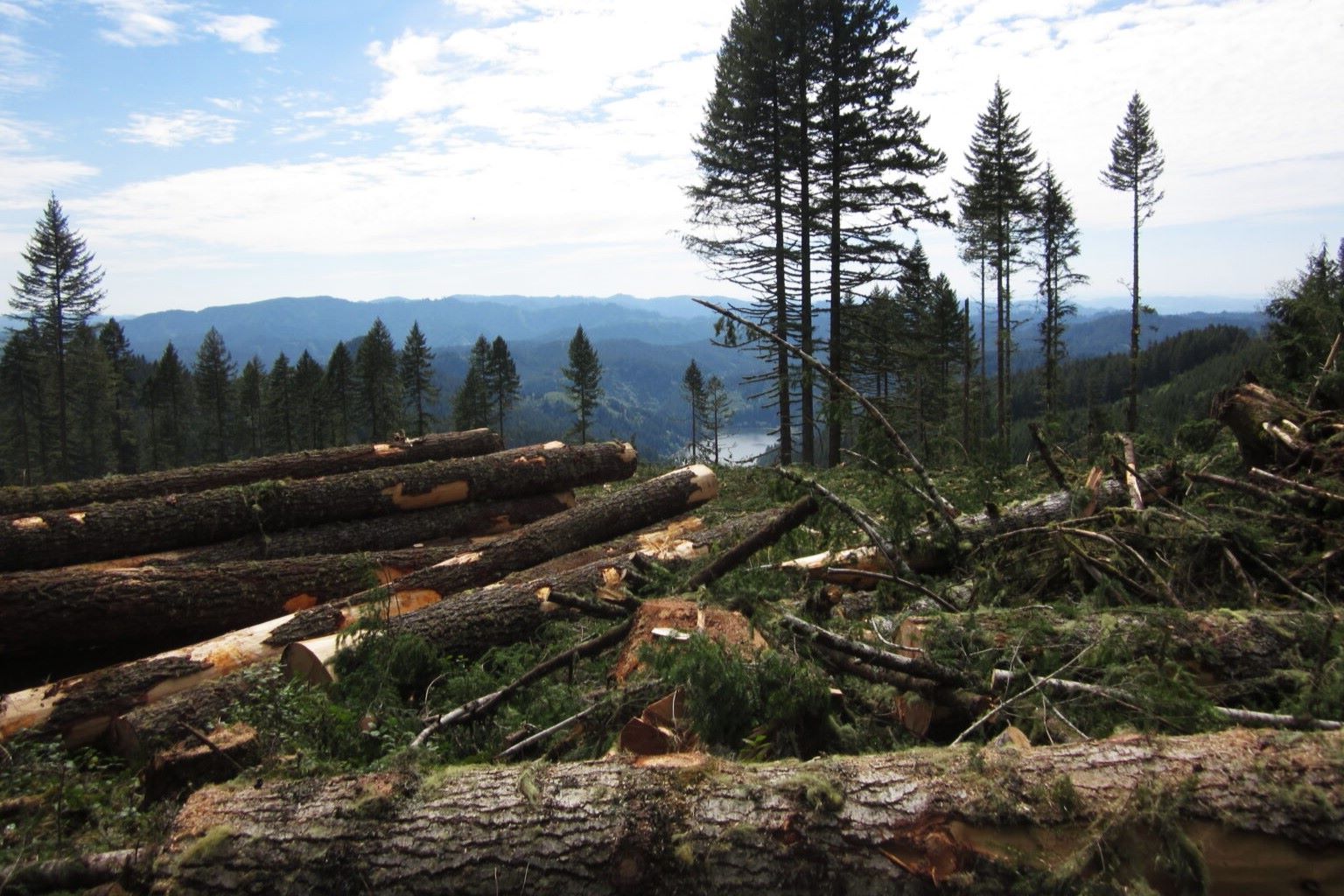 Lost-Logging-Camps-Of-Oregon8217s-Umpqua lost-logging-camps-of-oregons-umpqua