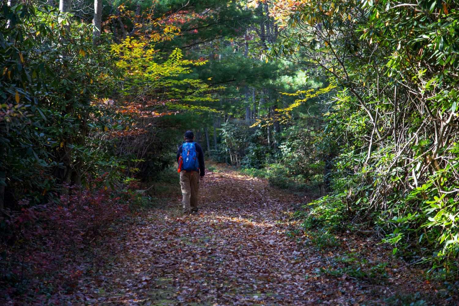 Lost-Mines-Of-Pennsylvania8217s-Hickory-Run lost-mines-of-pennsylvanias-hickory-run