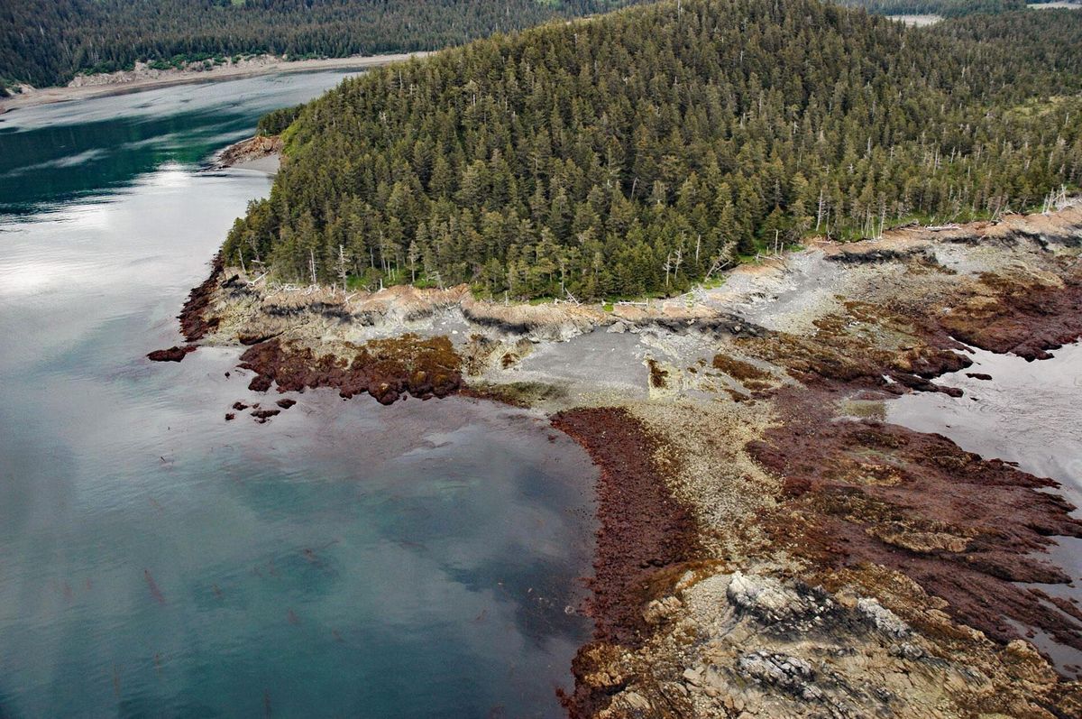 Lost-Mining-Claims-Of-Alaska8217s-Kenai-Peninsula lost-mining-claims-of-alaskas-kenai-peninsula