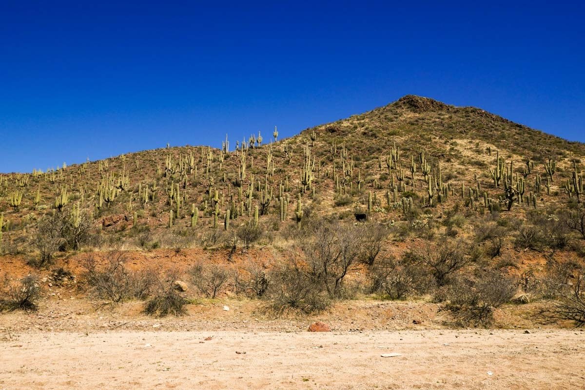 Lost-Mining-Claims-Of-Arizona8217s-Tiger-Mine lost-mining-claims-of-arizonas-tiger-mine