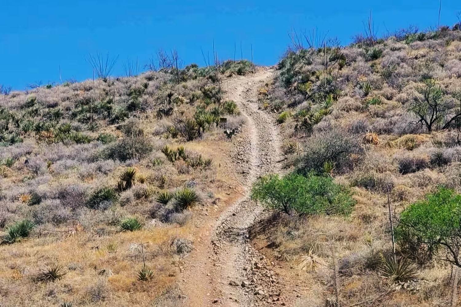 Lost-Mining-Claims-Of-Arizona8217s-Total-Wreck lost-mining-claims-of-arizonas-total-wreck