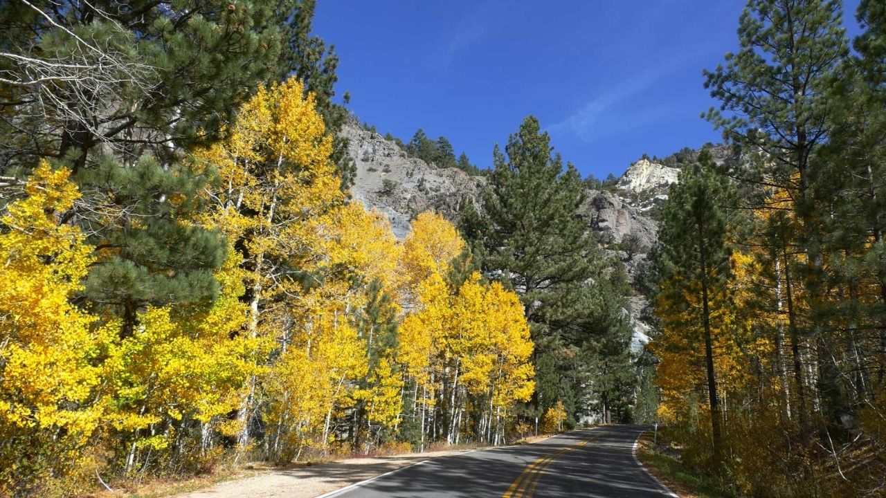 Lost-Pioneer-Routes-Of-California8217s-Ebbetts lost-pioneer-routes-of-californias-ebbetts