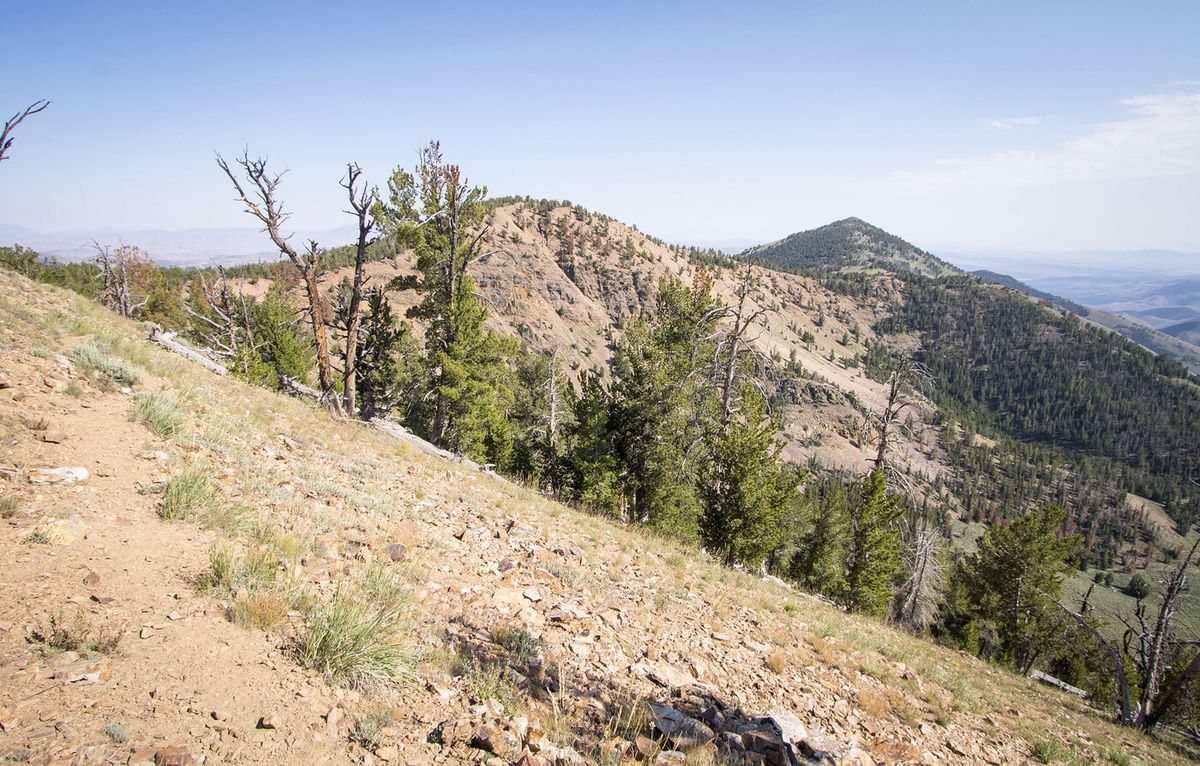 Lost-Silver-Mines-Of-Nevada8217s-Toiyabe-Range lost-silver-mines-of-nevadas-toiyabe-range