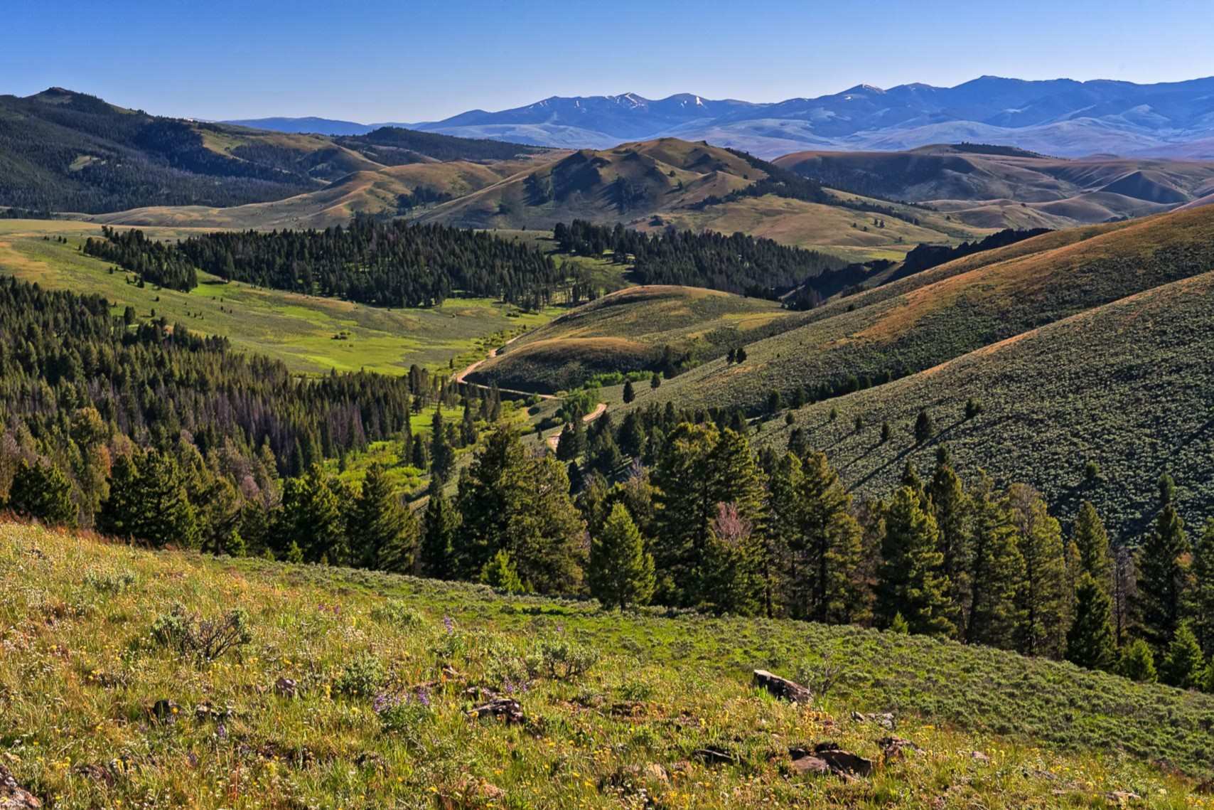 lost-trading-posts-of-idahos-lemhi-pass